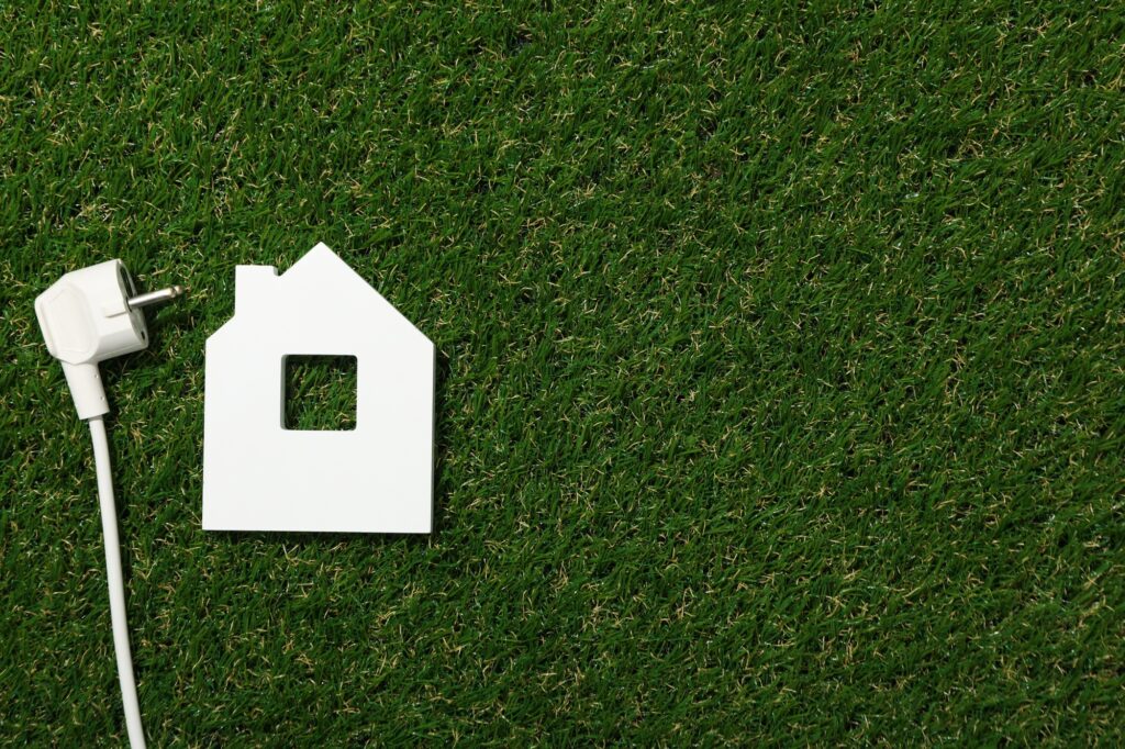 Decorative house with electric cable on the grass